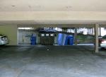 parking blues 
by robert kershaw