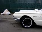white-walled 
by robert kershaw