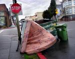 pink stop 
by robert kershaw