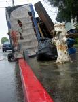 up against the curb 
by robert kershaw