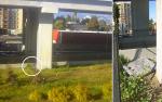 train spotted 
by robert kershaw