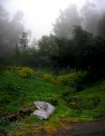 back to nature 
by robert kershaw