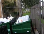 bin hanging out 
by robert kershaw