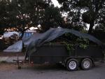 trailer trash 
by robert kershaw