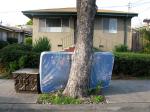 trunk