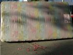 rainbow 
by robert kershaw