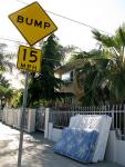 do the bump 
by robert kershaw