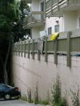 might as well jump 
by robert kershaw
