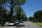 on Sacramento Street 
by robert kershaw