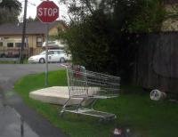 stop and shop 
by robert kershaw