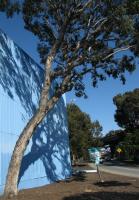 mother of all trees 
by robert kershaw