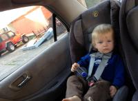backseat driver 
by robert kershaw