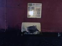 Under the Windowsill 
by EZ