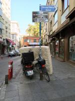 Sunny Garden Street 
by EZ
