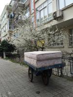 First Sign of Spring 
by EZ