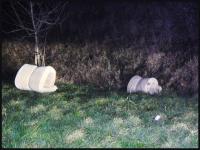 mating 
by wim rutten