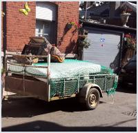 fly butter fly 
by wim rutten