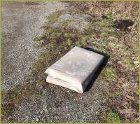 birds and cages 
by wim rutten