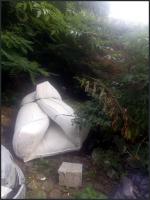 train spotter 
by wim rutten