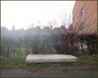 hedge 
by wim rutten