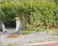 hoarse 
by wim rutten