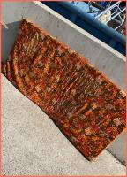 full colours 
by wim rutten