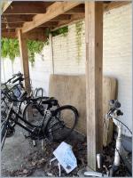 action 
by wim rutten