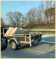 room enough 
by wim rutten