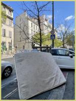 the chapter 
by wim rutten