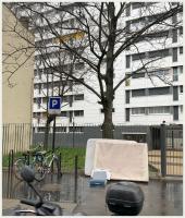 yelloween 
by wim rutten